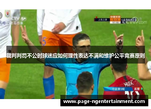 裁判判罚不公时球迷应如何理性表达不满和维护公平竞赛原则